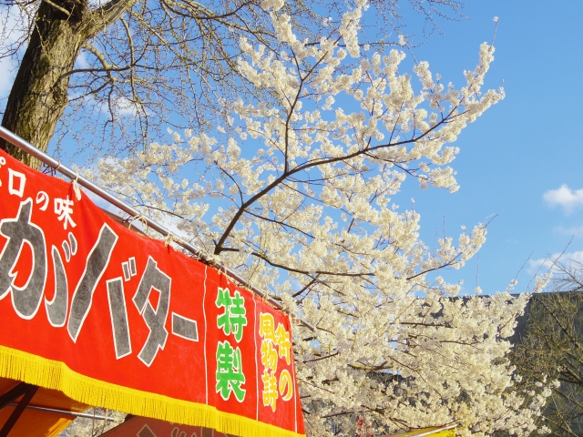 桜と屋台