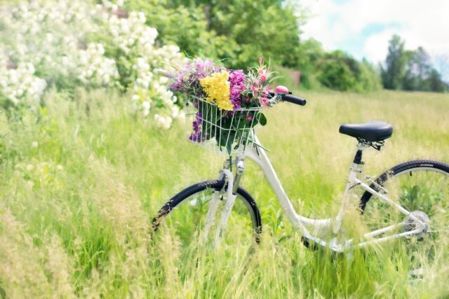 自転車とお花