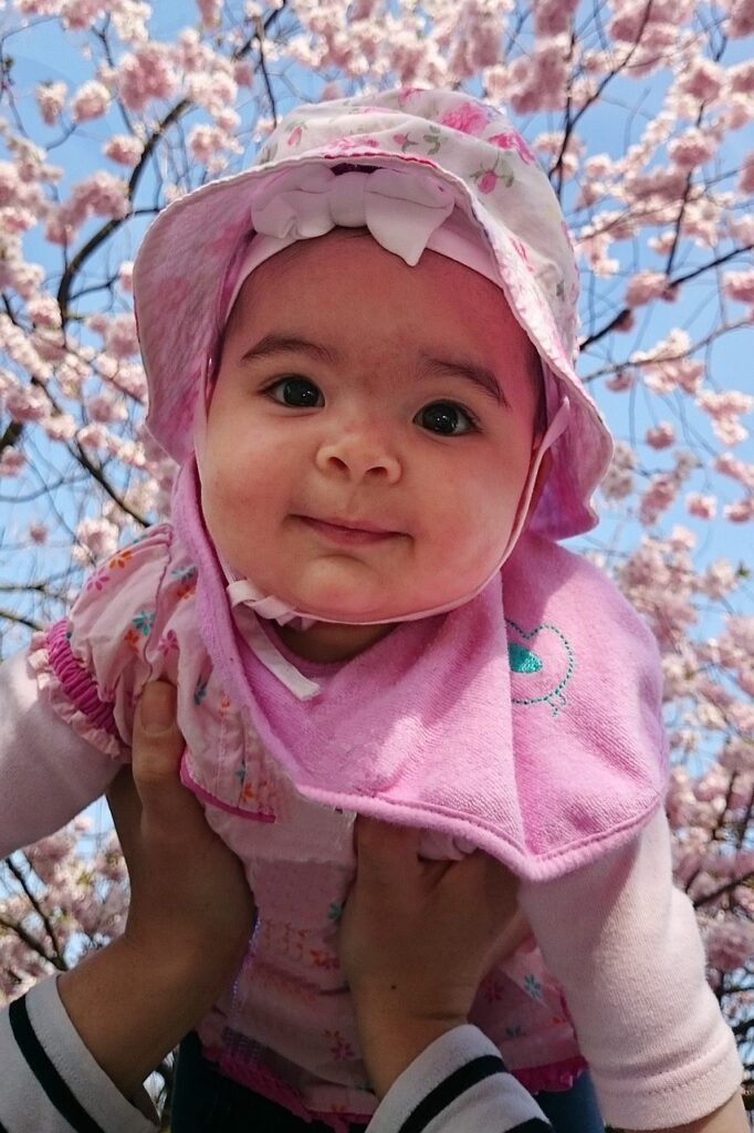 抱っこして桜とこどもを撮っている写真
